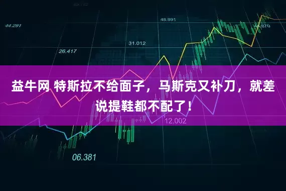 益牛网 特斯拉不给面子，马斯克又补刀，就差说提鞋都不配了！